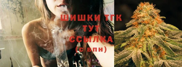 стаф Гусь-Хрустальный